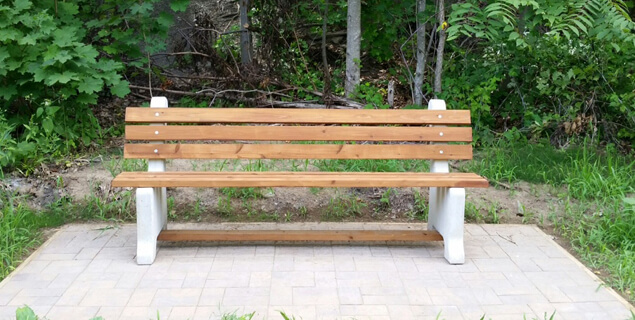 Buddy bench